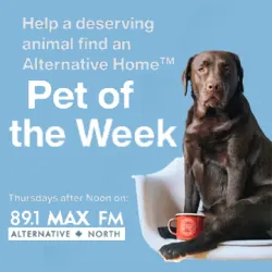 Pet of the Week