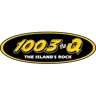 100.3 The Q